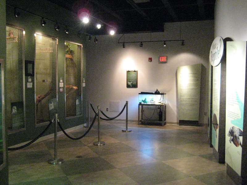 Museum-of-Science-and-History-Jacksonville-FL-021