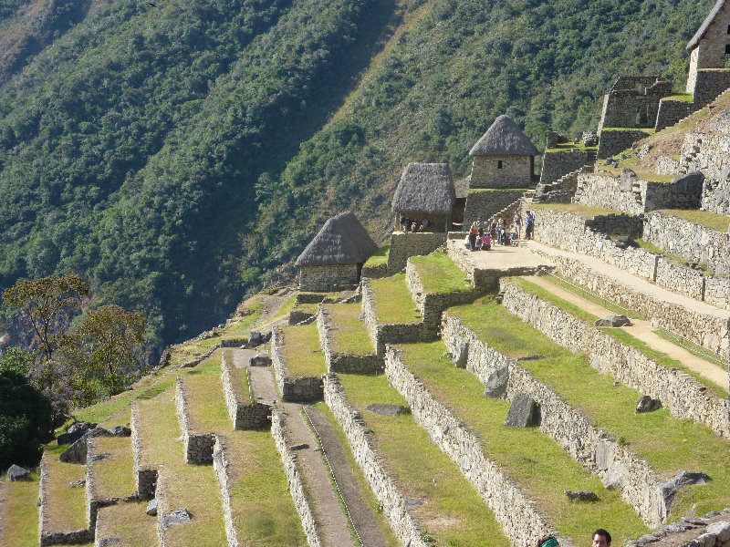 Machu-Picchu-Inca-Trail-Peru-South-America-042