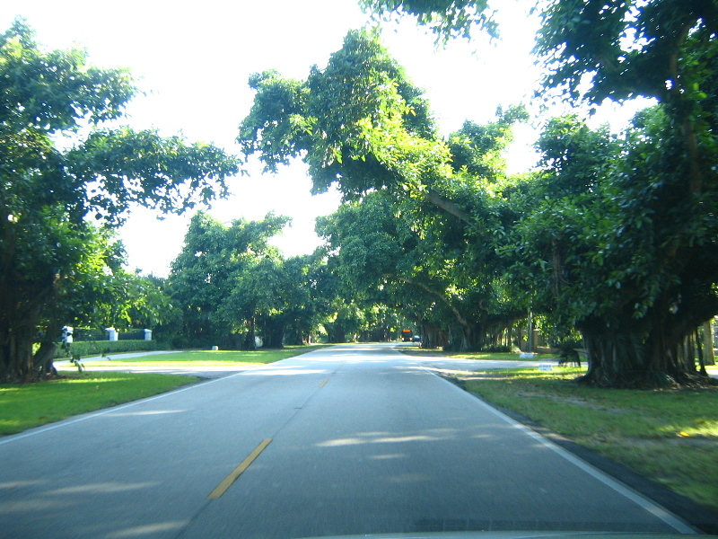 Matheson-Hammock-County-Park-Coral-Gables-Miami-FL-001