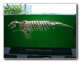 Mote-Marine-Aquarium-Sarasota-FL-090