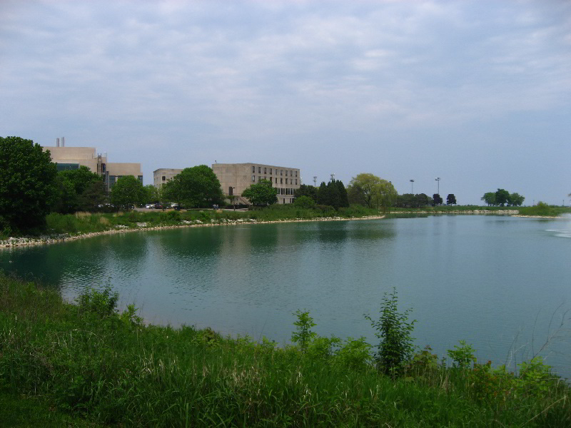 Northwestern-University-Evanston-Campus-Tour-0022