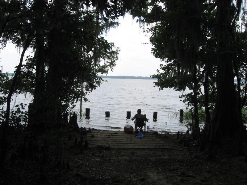 Palm-Point-Nature-Park-Newnans-Lake-Gainesville-FL-013