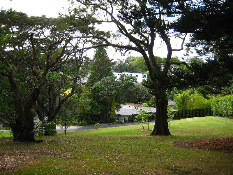 Parnell-Suburb-Auckland-North-Island-New-Zealand-036