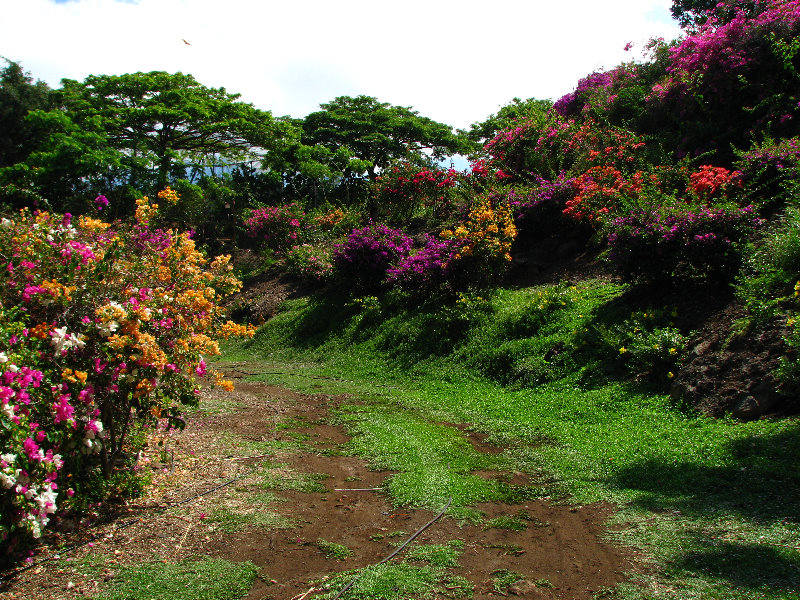 Pua-Mau-Place-Botanical-Garden-Kawaihae-Big-Island-Hawaii-021