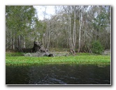 Sante-Fe-River-High-Springs-Florida-029