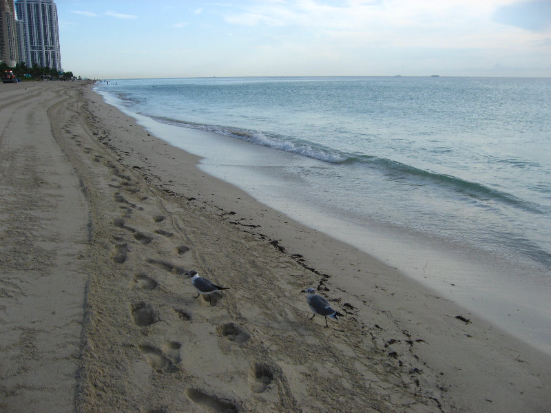 Sunny-Isles-Beach-Northeast-Miami-Dade-County-Florida-012