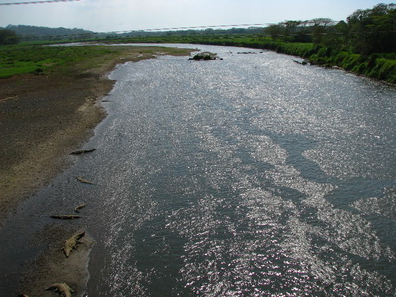 Tarcoles-River-Crocodile-Feeding-Costa-Rica-012