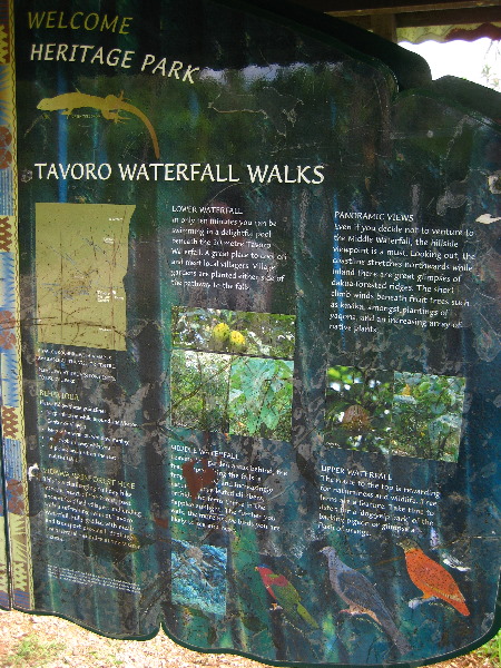 Tavoro-River-Waterfalls-Bouma-Park-Taveuni-Fiji-006