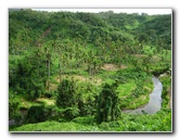 Tavoro-River-Waterfalls-Bouma-Park-Taveuni-Fiji-003
