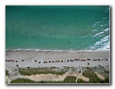 The-Beach-Club-Condos-Hallandale-FL-017