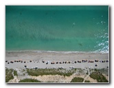 The-Beach-Club-Condos-Hallandale-FL-029
