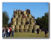 Tough-Mudder-Obstacle-Course-2011-Tampa-FL-087