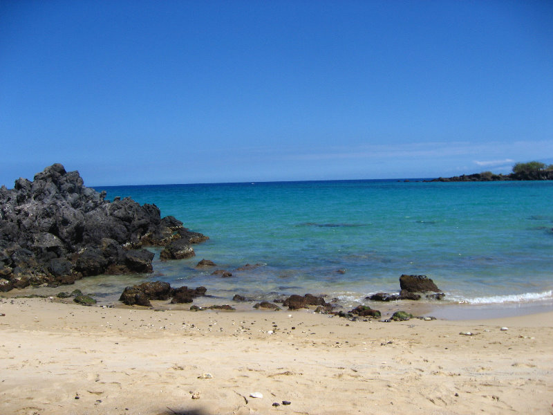 Waialea-Bay-Beach-69-Snorkeling-Kamuela-Big-Island-Hawaii-008