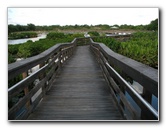 Wakodahatchee-Wetlands-Delray-Beach-FL-076