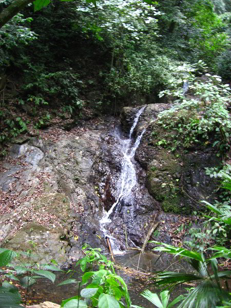 Waterfalls-Canopy-Tour-Jaco-Beach-Costa-Rica-007
