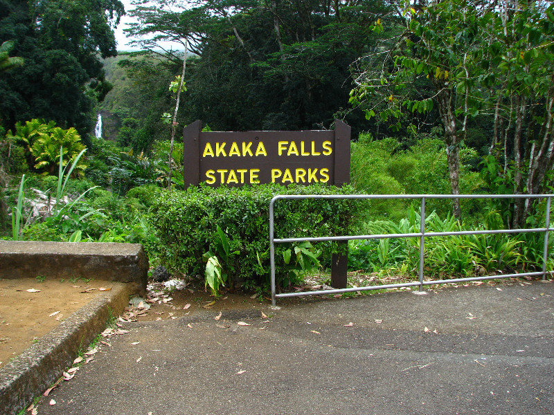 Akaka-Falls-State-Park-Honomu-Big-Island-Hawaii-001