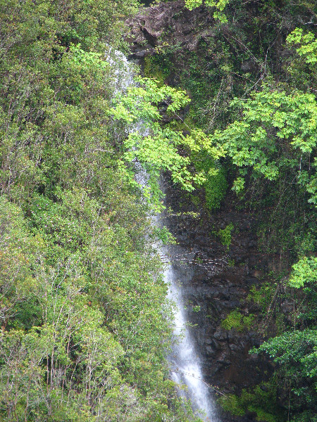 Akaka-Falls-State-Park-Honomu-Big-Island-Hawaii-010