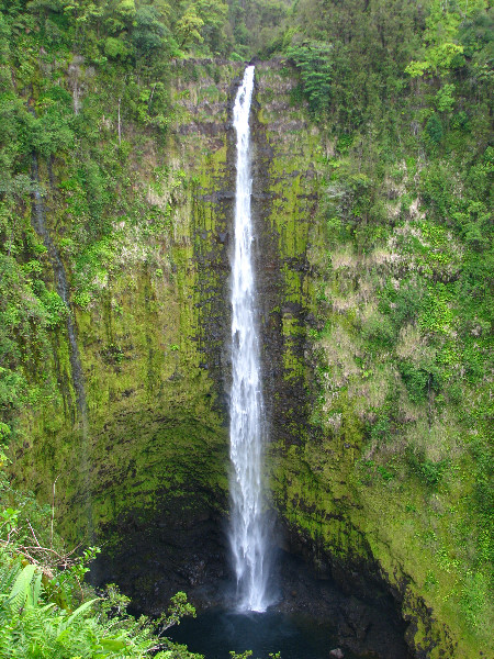 Akaka-Falls-State-Park-Honomu-Big-Island-Hawaii-013