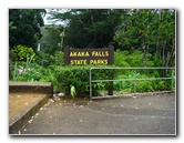 Akaka-Falls-State-Park-Honomu-Big-Island-Hawaii-001