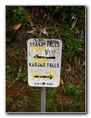 Akaka-Falls-State-Park-Honomu-Big-Island-Hawaii-011