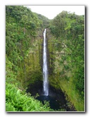 Akaka-Falls-State-Park-Honomu-Big-Island-Hawaii-012