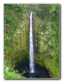 Akaka-Falls-State-Park-Honomu-Big-Island-Hawaii-013