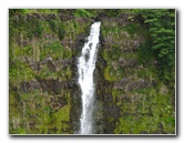 Akaka-Falls-State-Park-Honomu-Big-Island-Hawaii-018