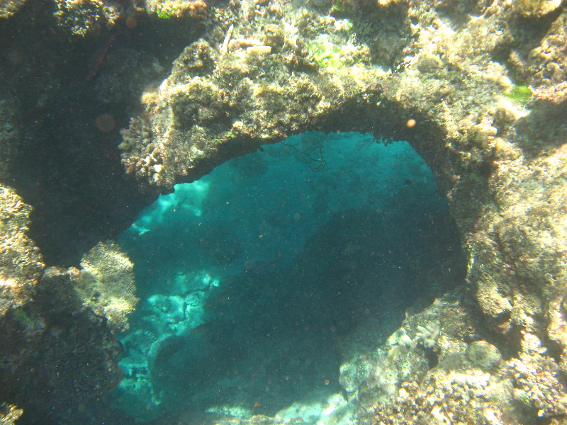 Fiji-Snorkeling-Underwater-Pictures-Amunuca-Resort-043