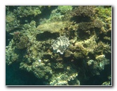 Fiji-Snorkeling-Underwater-Pictures-Amunuca-Resort-090