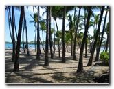 Anaehoomalu-Beach-Snorkeling-Kohala-Coast-Kona-Big-Island-Hawaii-016