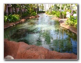 Atlantis-Resort-Paradise-Island-Bahamas-046