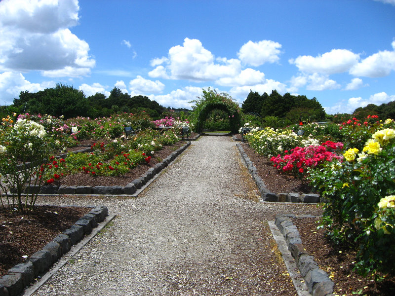 Auckland-Botanic-Gardens-Manukau-North-Island-New-Zealand-037