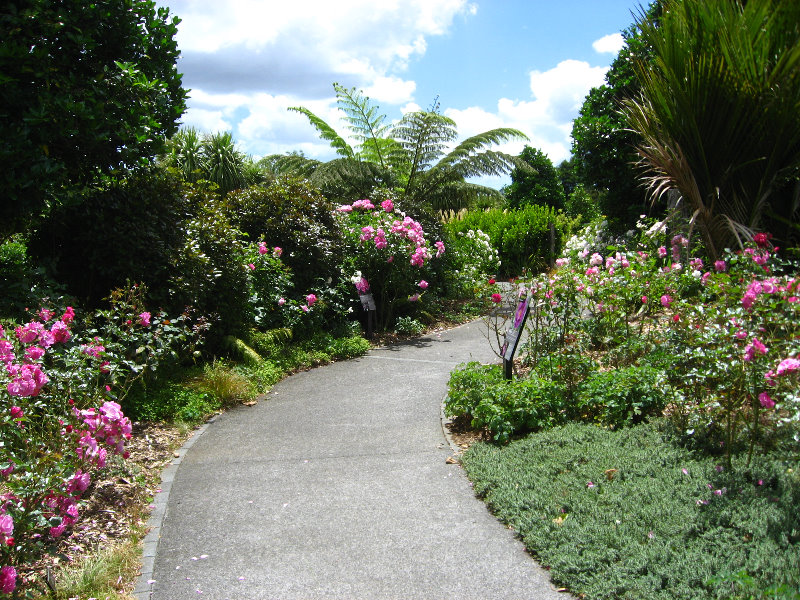 Auckland-Botanic-Gardens-Manukau-North-Island-New-Zealand-049