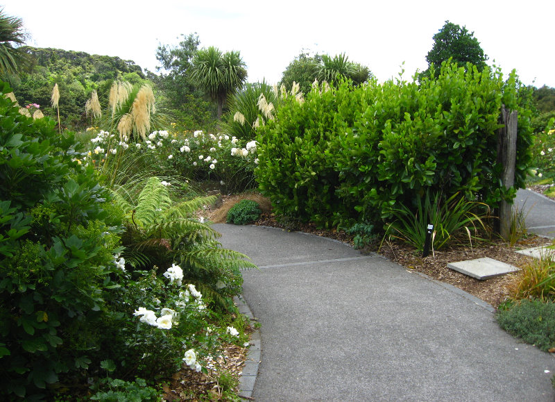 Auckland-Botanic-Gardens-Manukau-North-Island-New-Zealand-050