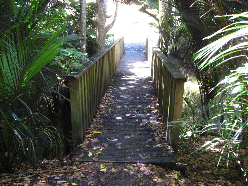 Auckland-Botanic-Gardens-Manukau-North-Island-New-Zealand-059