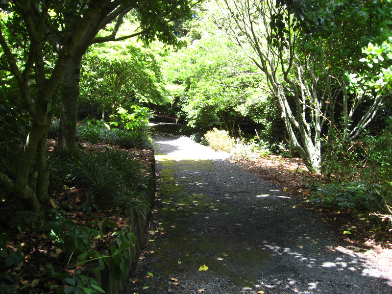 Auckland-Botanic-Gardens-Manukau-North-Island-New-Zealand-068