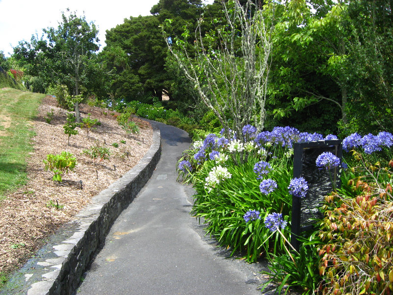 Auckland-Botanic-Gardens-Manukau-North-Island-New-Zealand-074