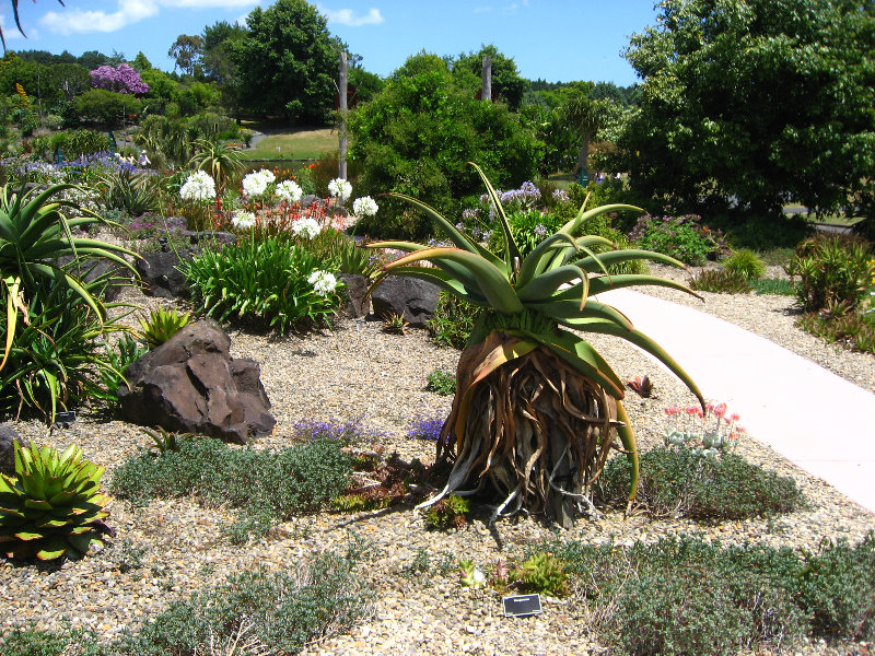 Auckland-Botanic-Gardens-Manukau-North-Island-New-Zealand-090