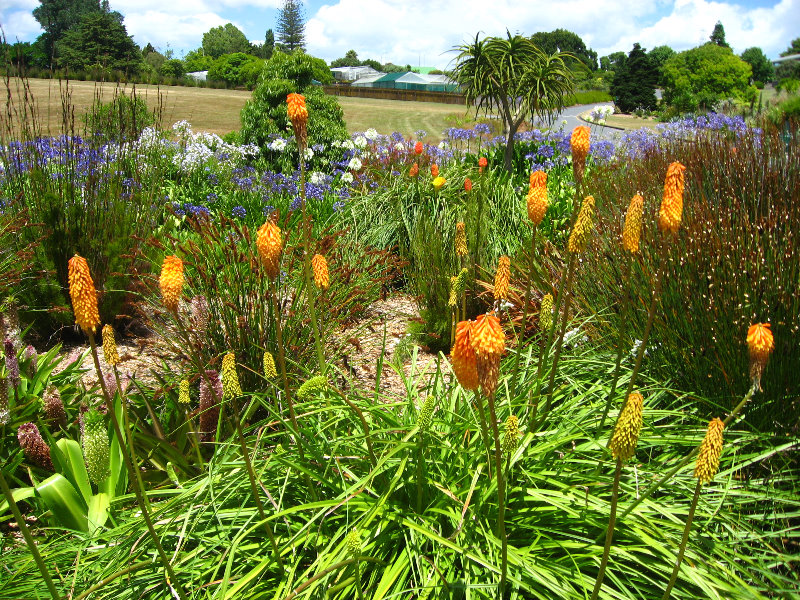 Auckland-Botanic-Gardens-Manukau-North-Island-New-Zealand-098