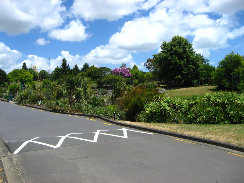 Auckland-Botanic-Gardens-Manukau-North-Island-New-Zealand-099