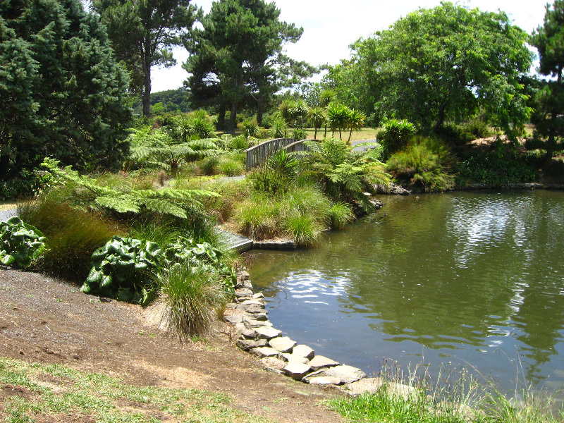 Auckland-Botanic-Gardens-Manukau-North-Island-New-Zealand-114