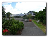 Auckland-Botanic-Gardens-Manukau-North-Island-New-Zealand-006