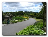 Auckland-Botanic-Gardens-Manukau-North-Island-New-Zealand-013