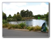 Auckland-Botanic-Gardens-Manukau-North-Island-New-Zealand-023