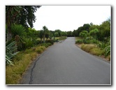 Auckland-Botanic-Gardens-Manukau-North-Island-New-Zealand-024