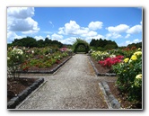 Auckland-Botanic-Gardens-Manukau-North-Island-New-Zealand-037