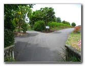 Auckland-Botanic-Gardens-Manukau-North-Island-New-Zealand-046