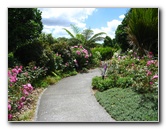 Auckland-Botanic-Gardens-Manukau-North-Island-New-Zealand-049