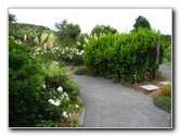 Auckland-Botanic-Gardens-Manukau-North-Island-New-Zealand-050