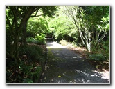 Auckland-Botanic-Gardens-Manukau-North-Island-New-Zealand-068